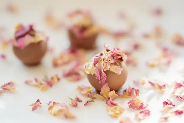 벳24스타 카지노 안드로이드/iOS 앱